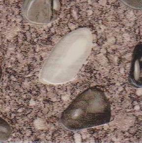 532